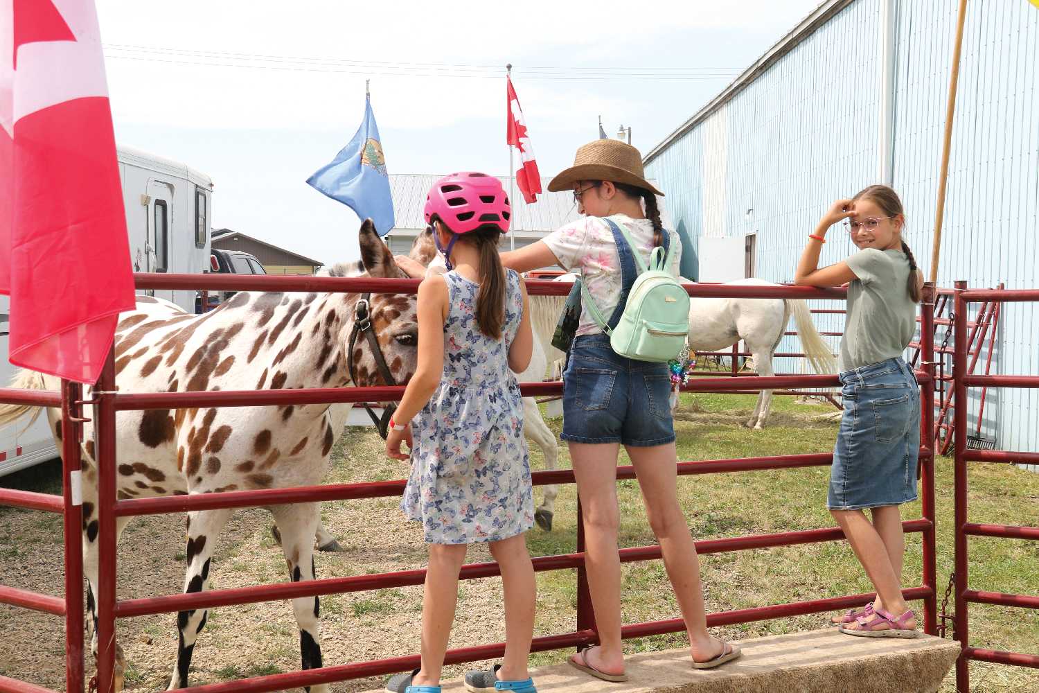 Two girls petting Doug Sauter's Appaloosa horses at the fair.